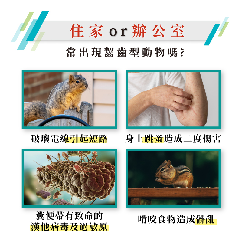 鼠必逃驅離劑 鼠必逃驅離劑 500cc|不含環境用藥
