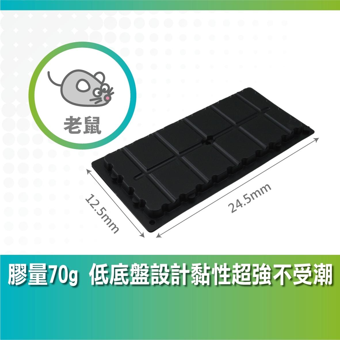 抓老鼠陷阱怎麼用最有效?5種常見老鼠陷阱一次搞懂