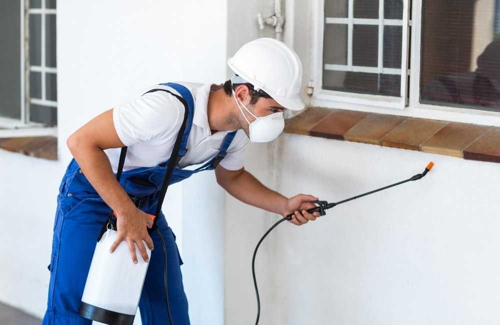 為什麼殺蟲劑危害不能再忽視？3大錯誤使用行為解析