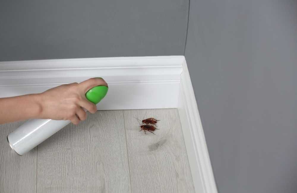 殺蟲劑危害有哪些?3款環保用藥成為新主流選擇