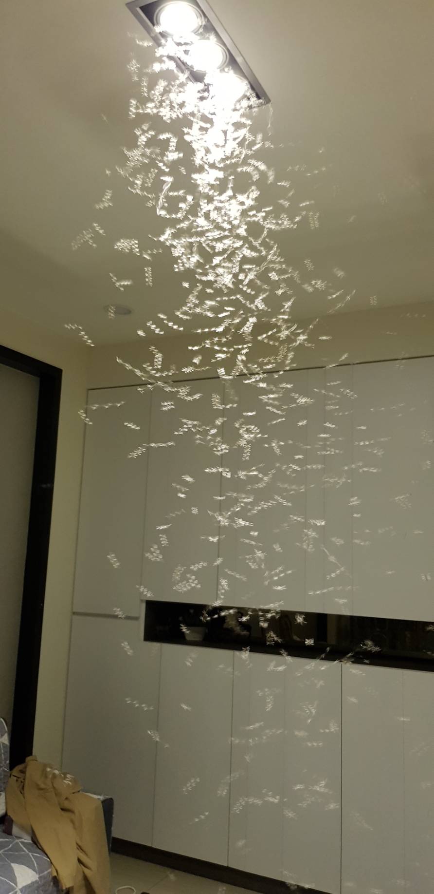 室內光源是吸引大水蟻飛到家中的主因,只要減少室內光源即可降低大水蟻飛進家裡的可能