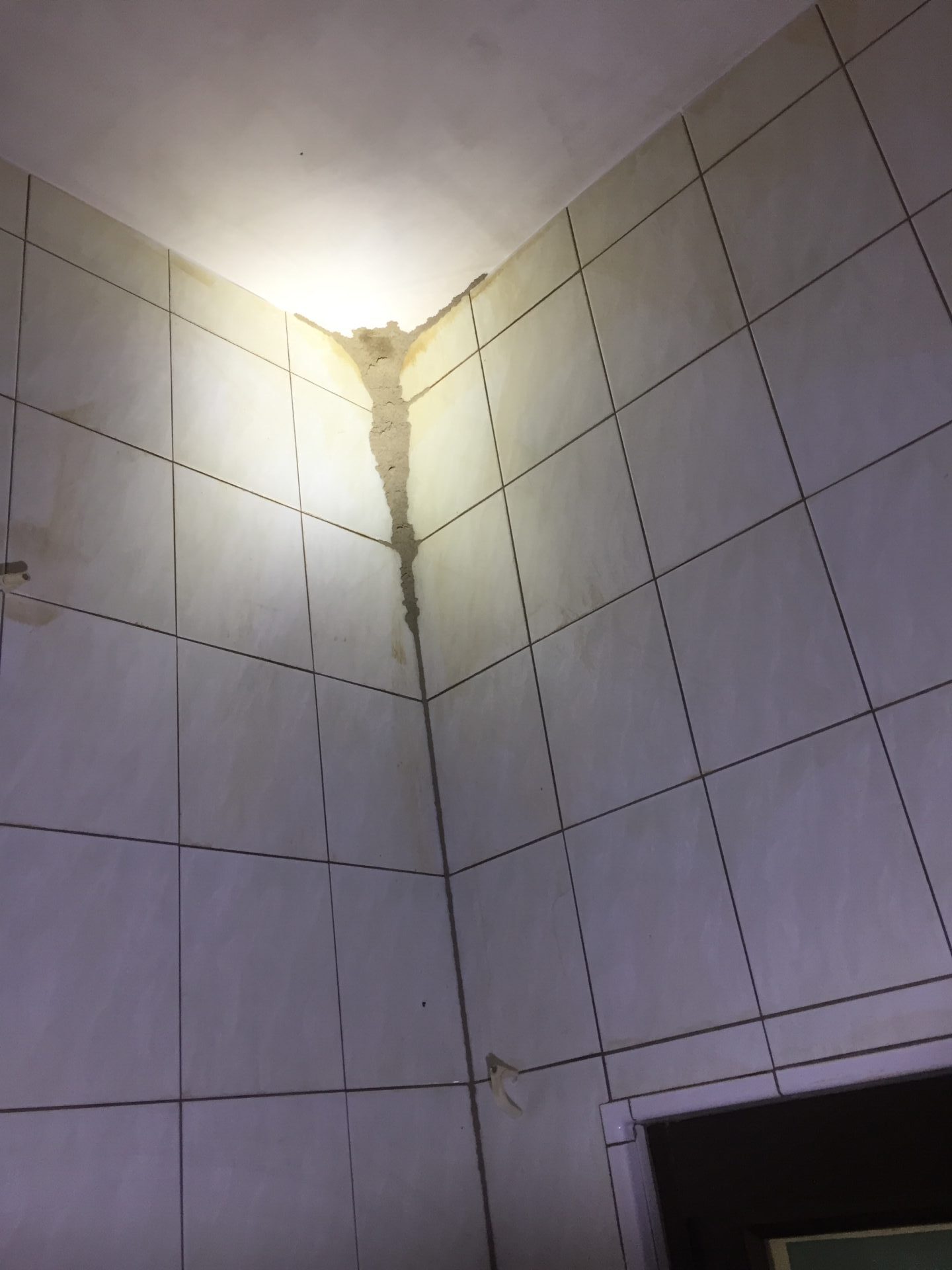 檢查家中四周牆角看是否有跟圖片相同的白蟻土道,如果有發現就代表白蟻早已入侵家中,應該馬上聯絡佳廣環保專業除白蟻公司為您詩作白蟻防治