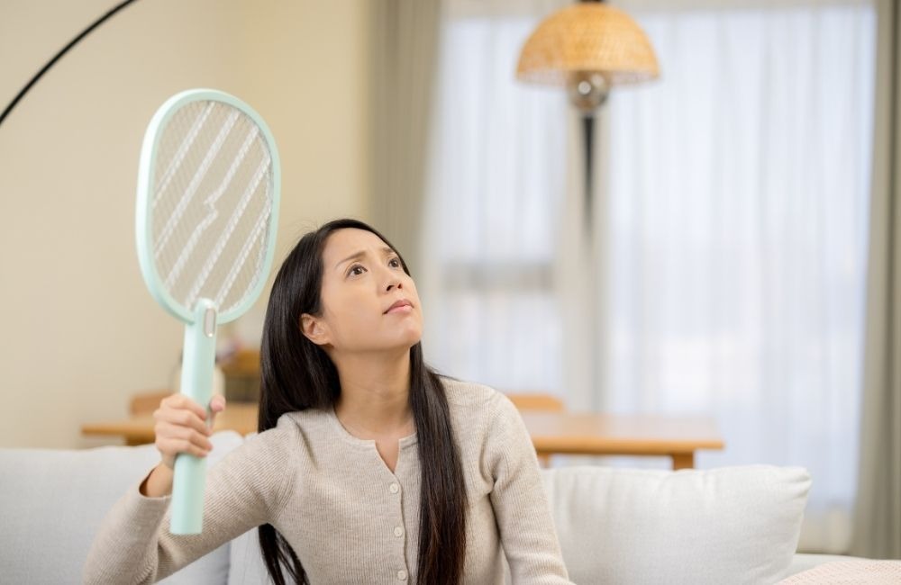 房間一直有蚊子怎麼辦？常見除蚊方式真的有效嗎