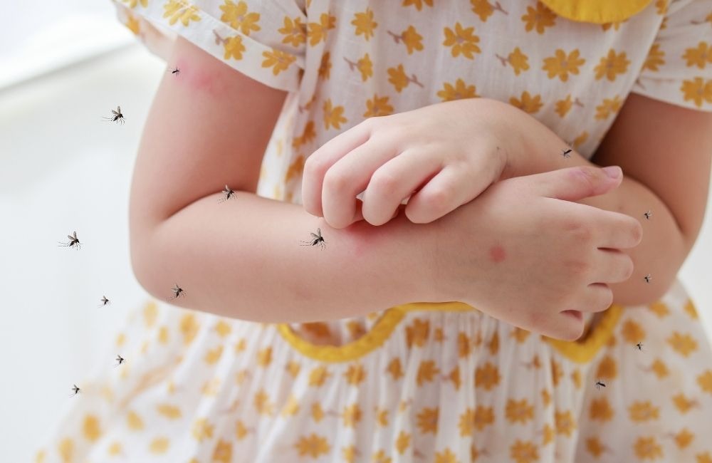 殺蟲劑怎麼用才安全？正確使用比品牌更重要