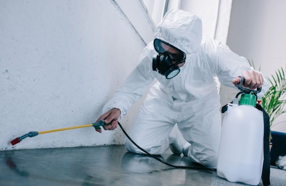 殺蟲劑對人體有害嗎？先從「風險來源」談起