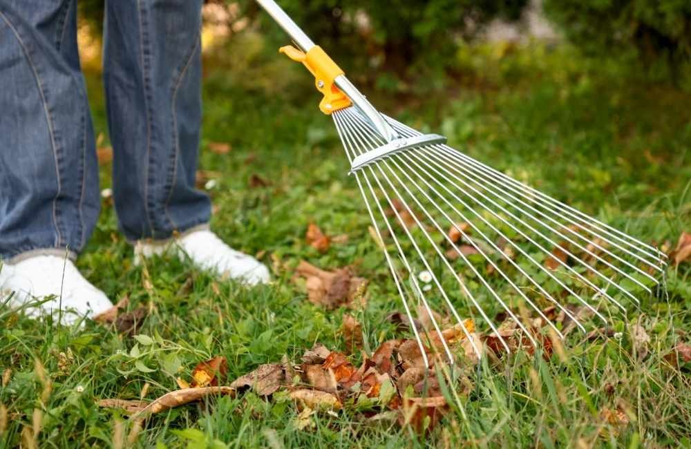 徹底改善環境：從根源阻斷小黑蚊繁殖