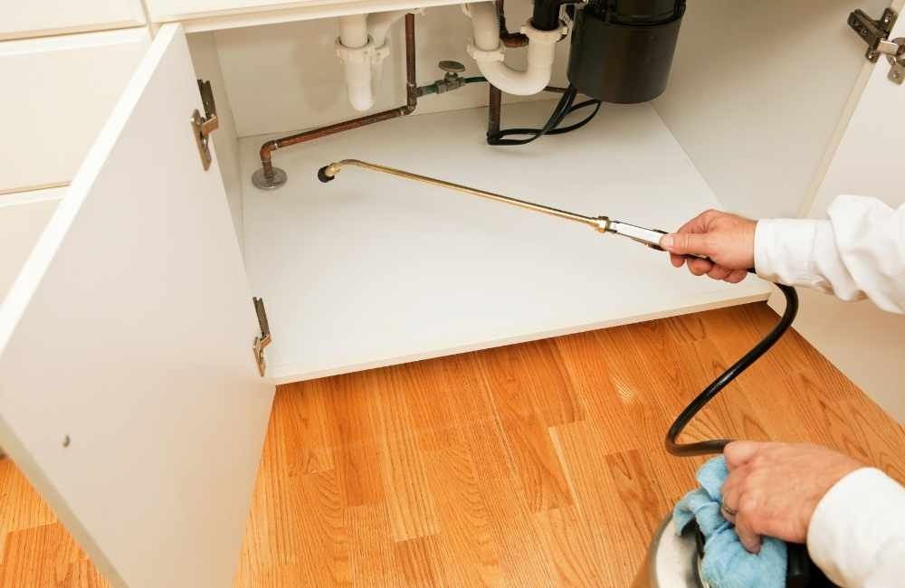 效果比較解析：哪一種防治方式更持久？