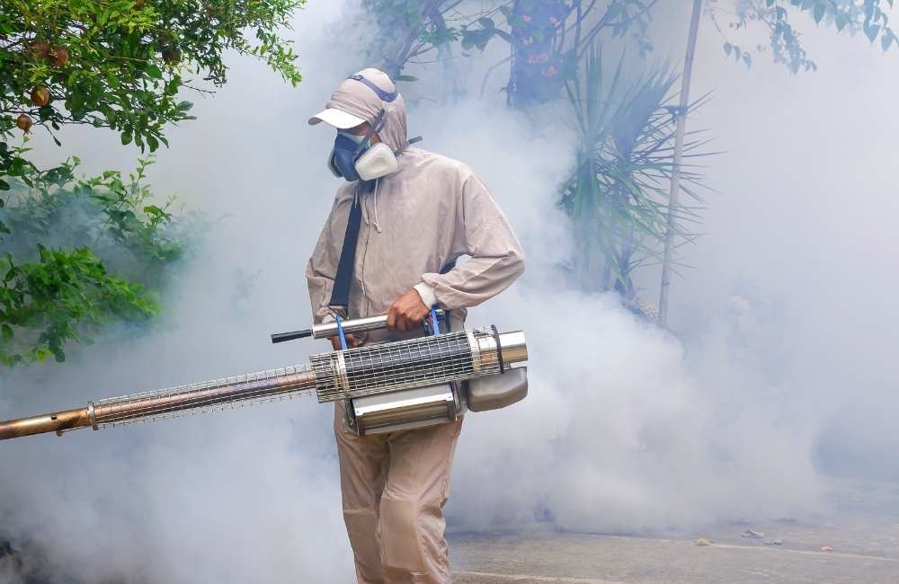 為什麼居家自行噴藥總沒用?專業除蟲公司的實務對策