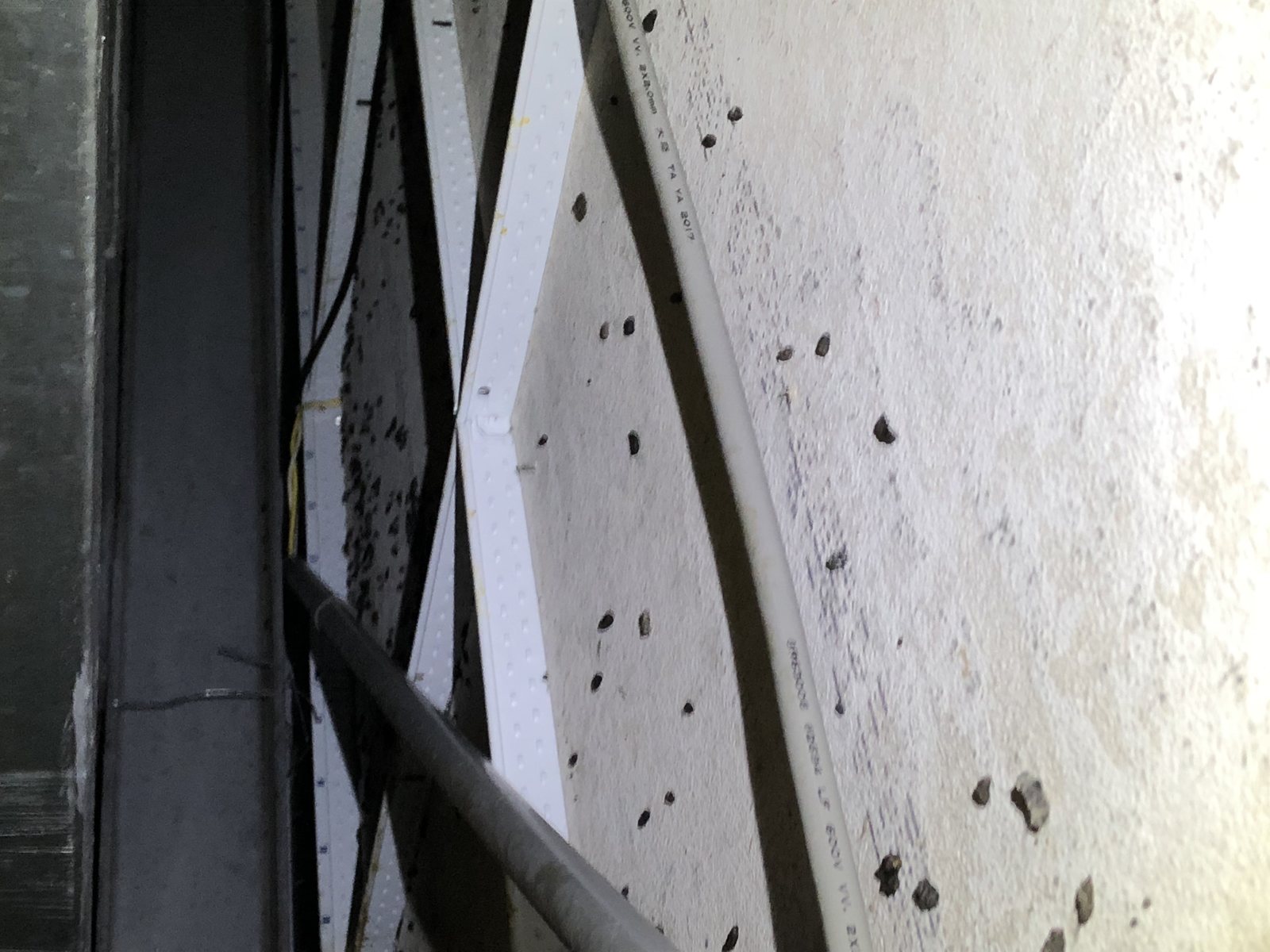 台南食品廠現場可見多處鼠糞