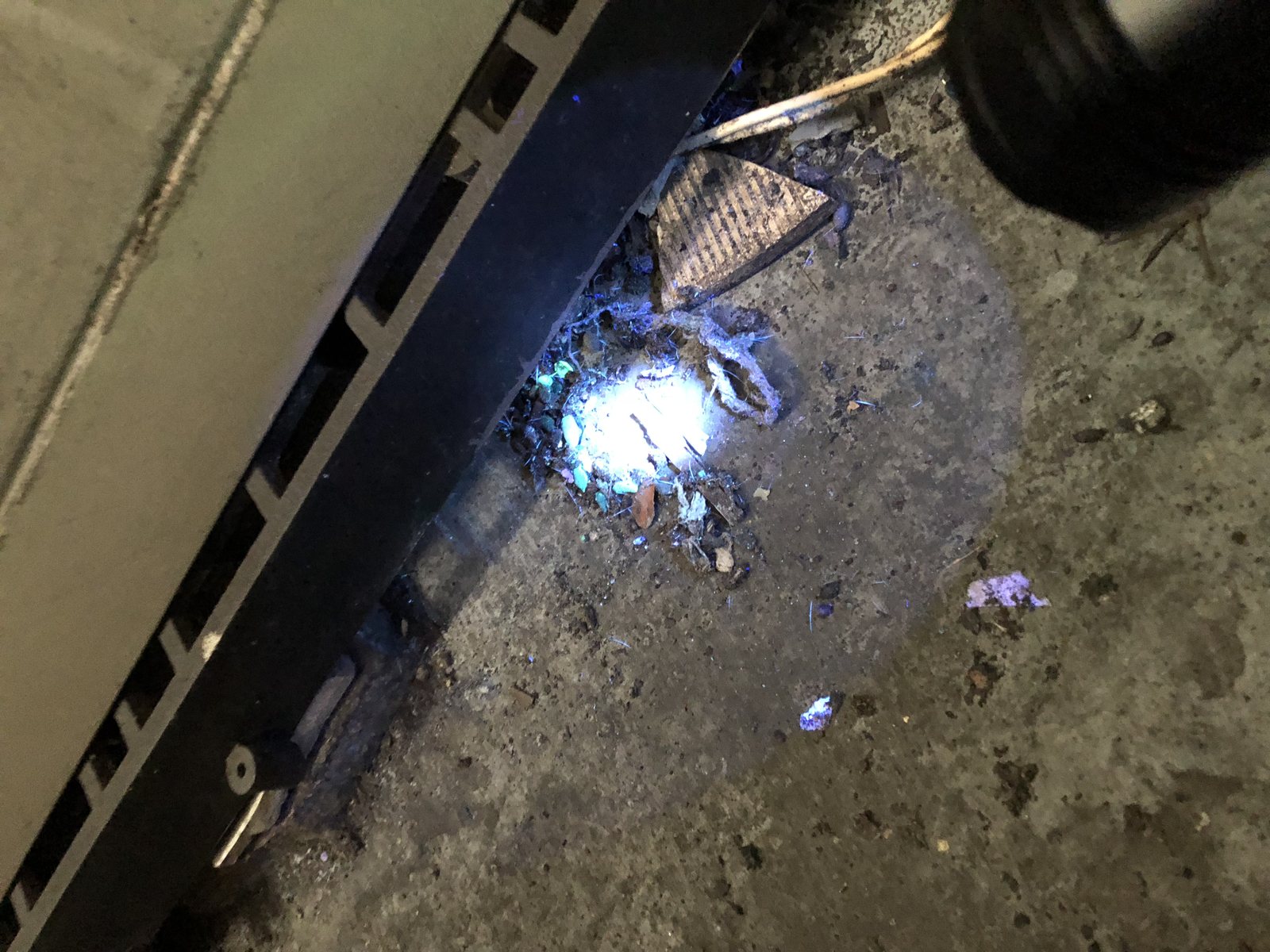 冷凍庫下方空間附近的活動與結構問題