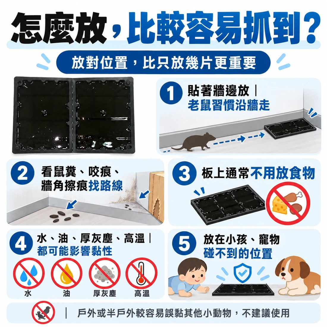 M-P036 正式商品輪播|擺放位置與注意事項 黏鼠板布放方式:沿牆找鼠徑、注意水油粉塵與高溫、放在小孩與寵物碰不到的地方