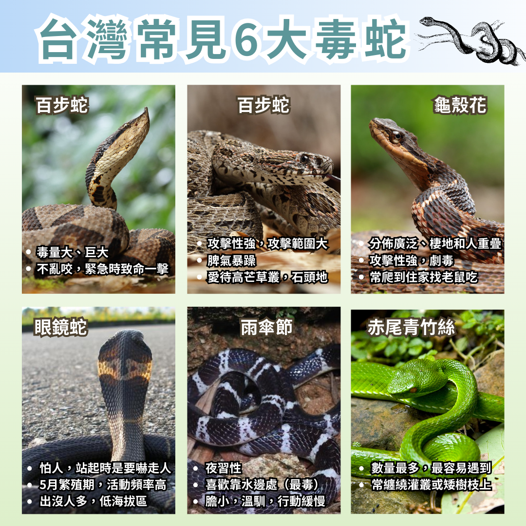 蛇不來驅蛇粉