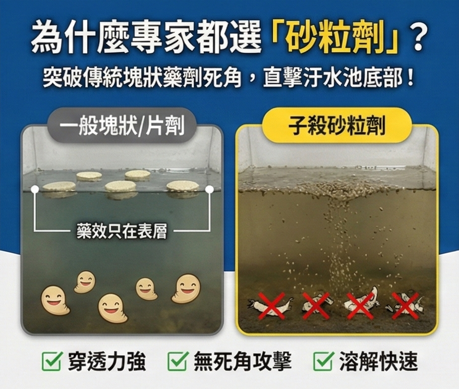 孓殺滅孑孓粒劑(1公斤) 商品圖 4